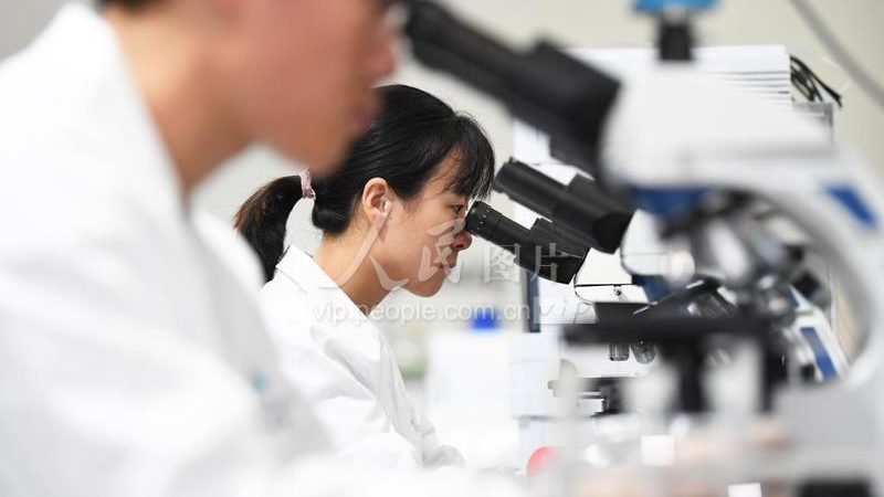 引物合成HPLC纯化：关键步骤与注意事项