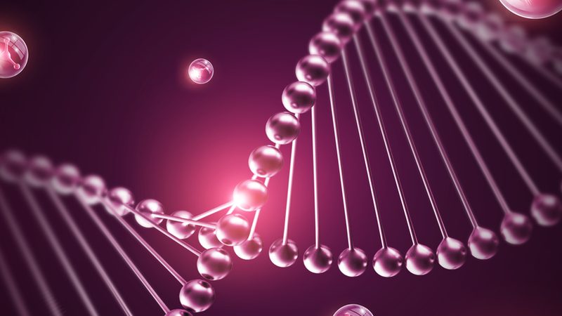 生物试剂代理加盟，如何选择合适的合作伙伴？**