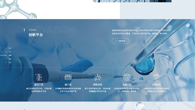 造纸用酶制剂：揭秘其优缺点与行业应用**