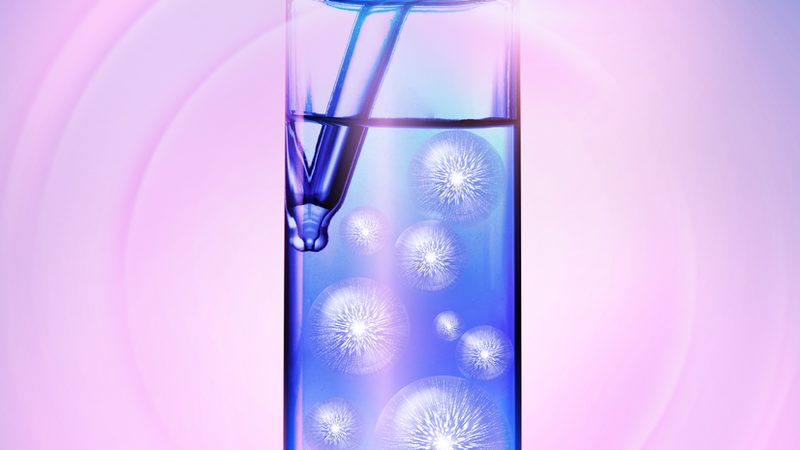 广州生物科技公司报价背后的考量因素**