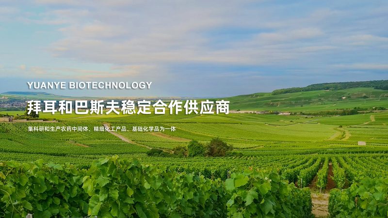 生物科技公司产品参数报价单：揭秘参数背后的技术奥秘