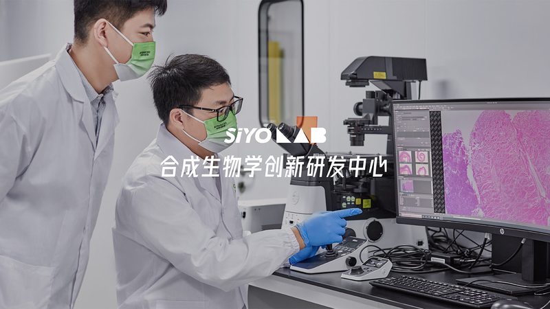 上海CDMO小分子CDMO公司：揭秘小分子药物研发的幕后英雄**
