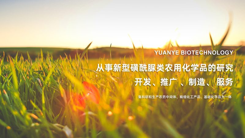 家庭PCR检测仪：如何选择合适的参数？**