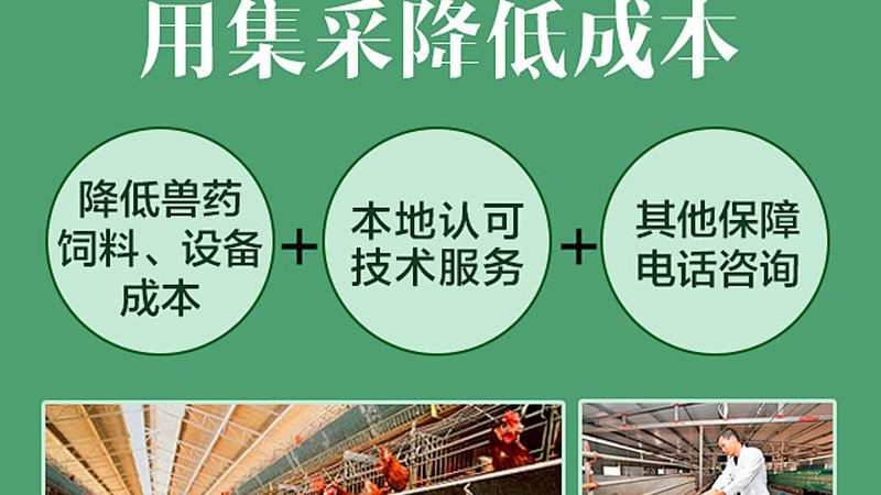 CDMO技术平台：揭秘其优势与挑战