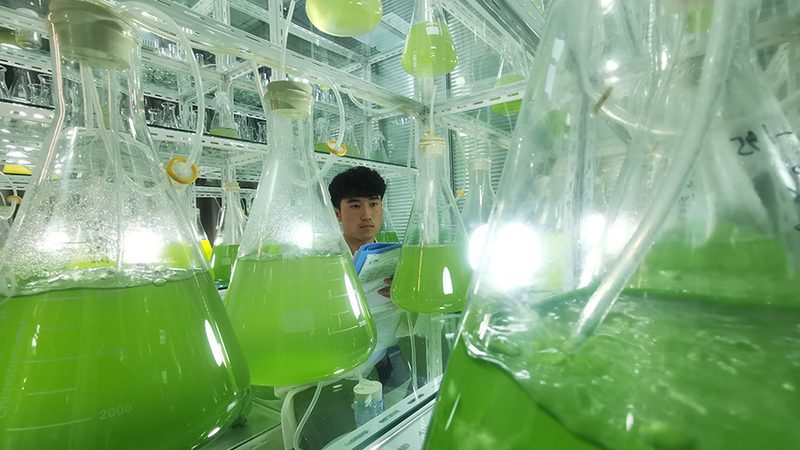 塑料离心管：揭秘其材质多样性与应用场景**
